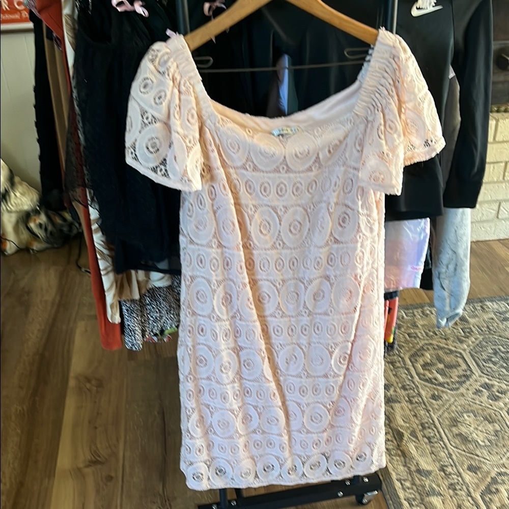 Spring Lace Dress in Light Pink Size 14P